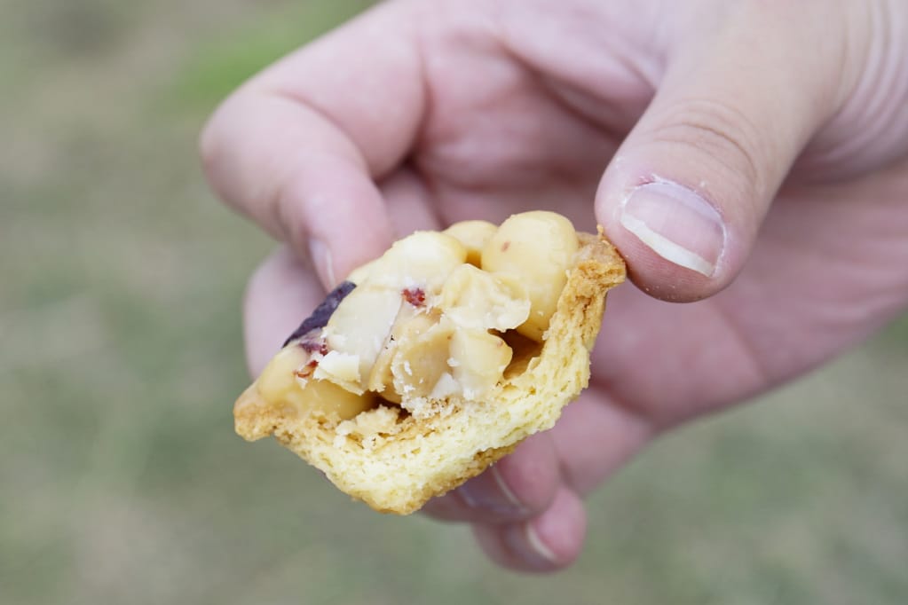 台南|名坂奇夏威夷豆塔 超夯團購美食.台南伴手禮推薦! - 第7張圖 台南|名坂奇夏威夷豆塔 超夯團購美食.台南伴手禮推薦!