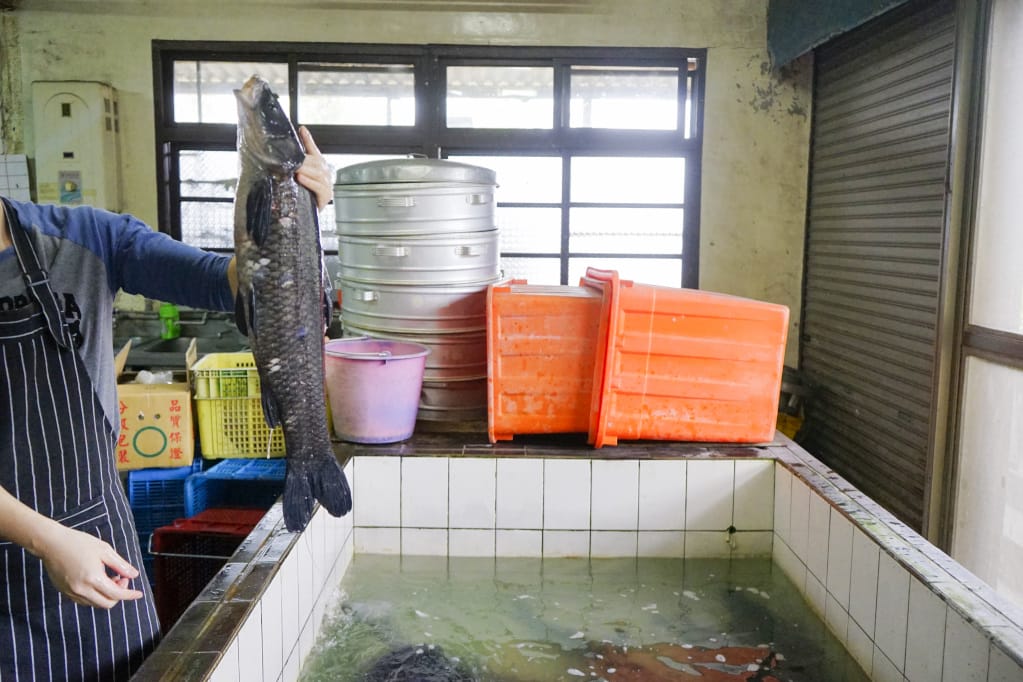 桃園|十一份活魚餐廳 石門活魚現抓現殺超新鮮,大溪合菜推薦! - 第6張圖 桃園|十一份活魚餐廳 石門活魚現抓現殺超新鮮,大溪合菜推薦!