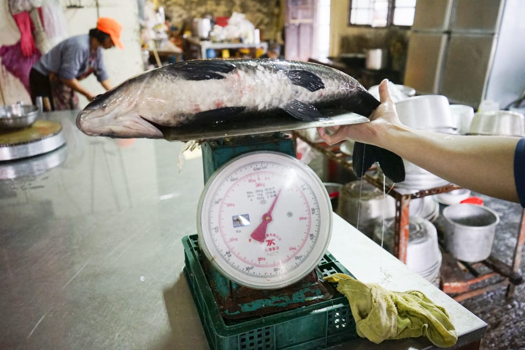 桃園|十一份活魚餐廳 石門活魚現抓現殺超新鮮,大溪合菜推薦! - 第7張圖 桃園|十一份活魚餐廳 石門活魚現抓現殺超新鮮,大溪合菜推薦!