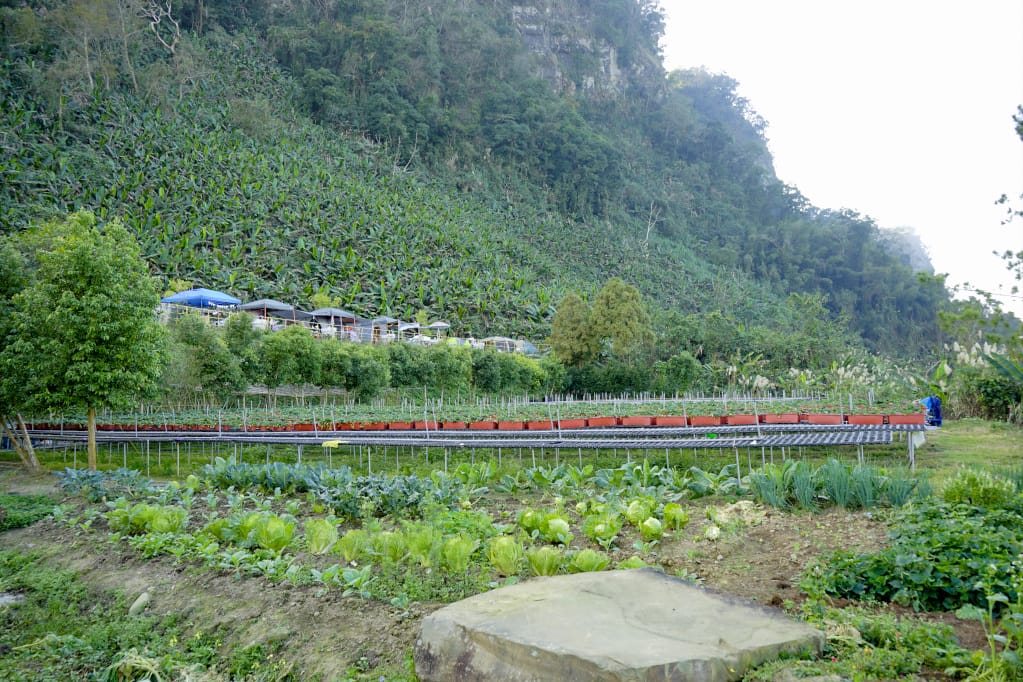 苗栗|耀婆山露營區 在營區就能採草莓.無敵雲海美景.草地營位推薦! - 第4張圖 苗栗|耀婆山露營區 在營區就能採草莓.無敵雲海美景.草地營位推薦!