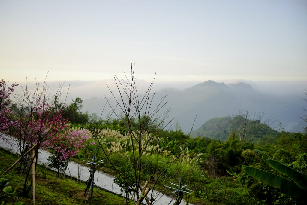 苗栗|耀婆山露營區 在營區就能採草莓.無敵雲海美景.草地營位推薦! - 第9張圖 苗栗|耀婆山露營區 在營區就能採草莓.無敵雲海美景.草地營位推薦!