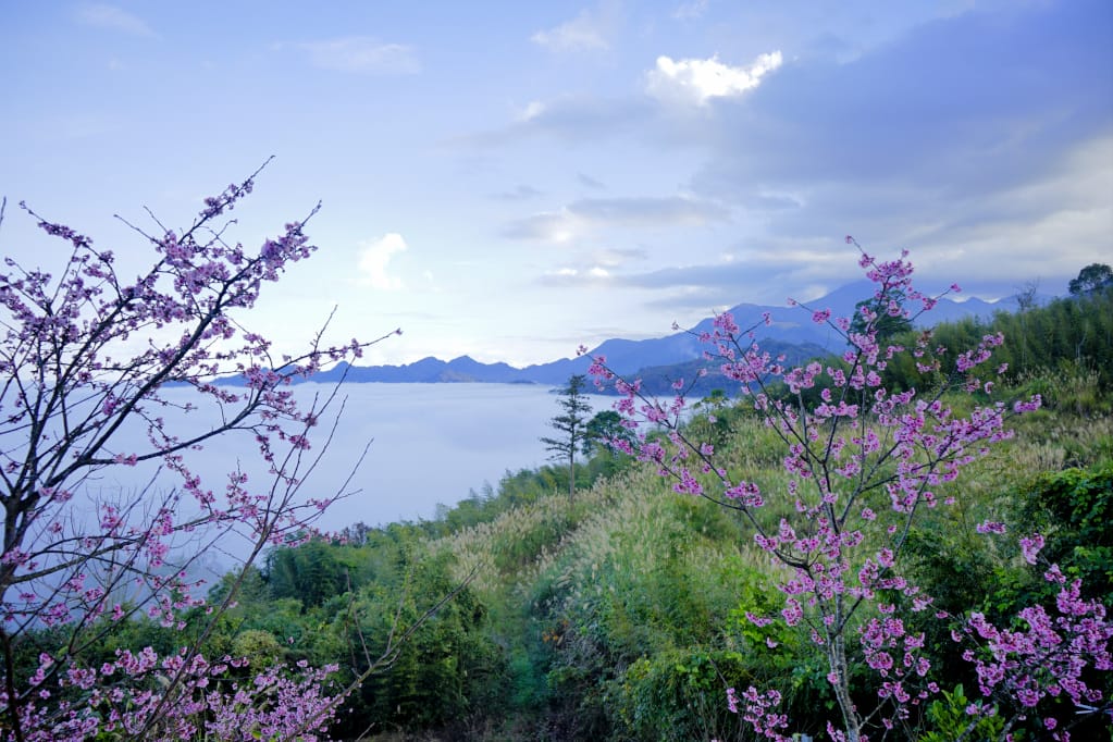 苗栗|耀婆山露營區 在營區就能採草莓.無敵雲海美景.草地營位推薦! - 第25張圖 苗栗|耀婆山露營區 在營區就能採草莓.無敵雲海美景.草地營位推薦!