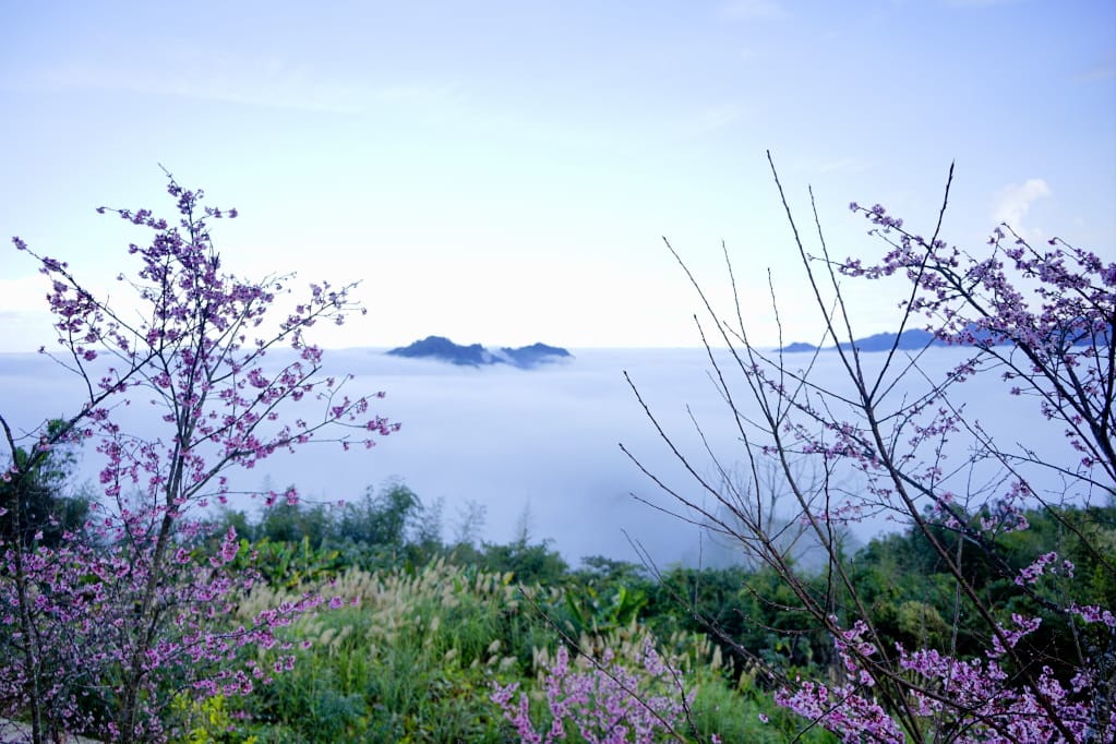 苗栗|耀婆山露營區 在營區就能採草莓.無敵雲海美景.草地營位推薦! - 第26張圖 苗栗|耀婆山露營區 在營區就能採草莓.無敵雲海美景.草地營位推薦!