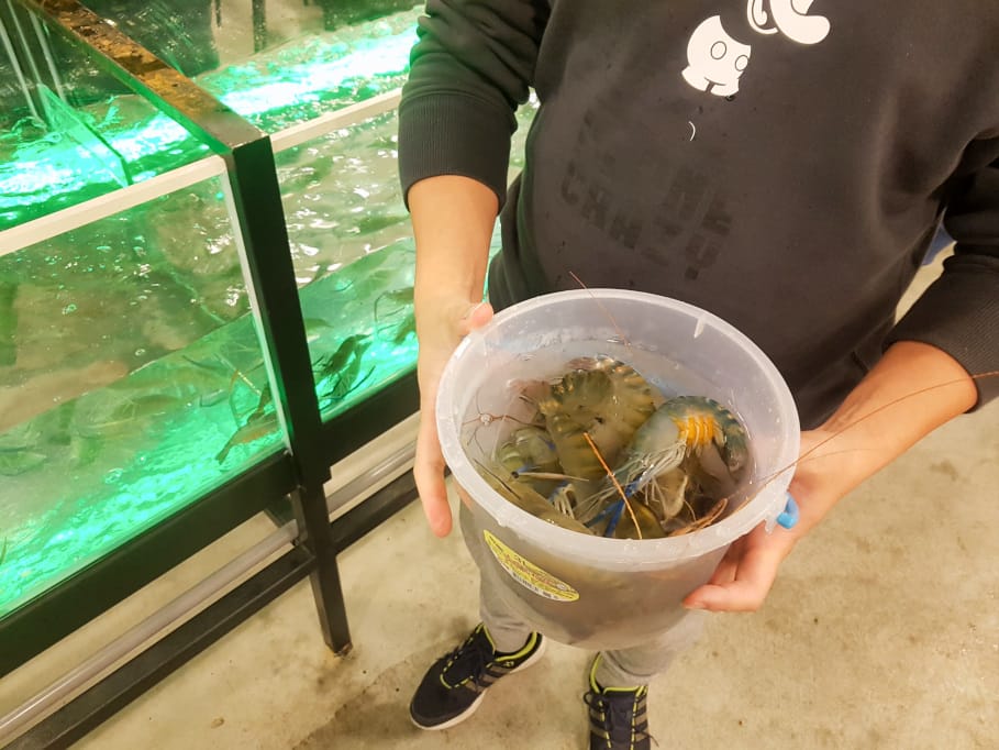 新北|泰蝦PA 水道泰國蝦吃到飽 林口現撈現烤流水蝦、烤肉吃到飽~ - 第11張圖 新北|泰蝦PA 水道泰國蝦吃到飽 林口現撈現烤流水蝦、烤肉吃到飽~