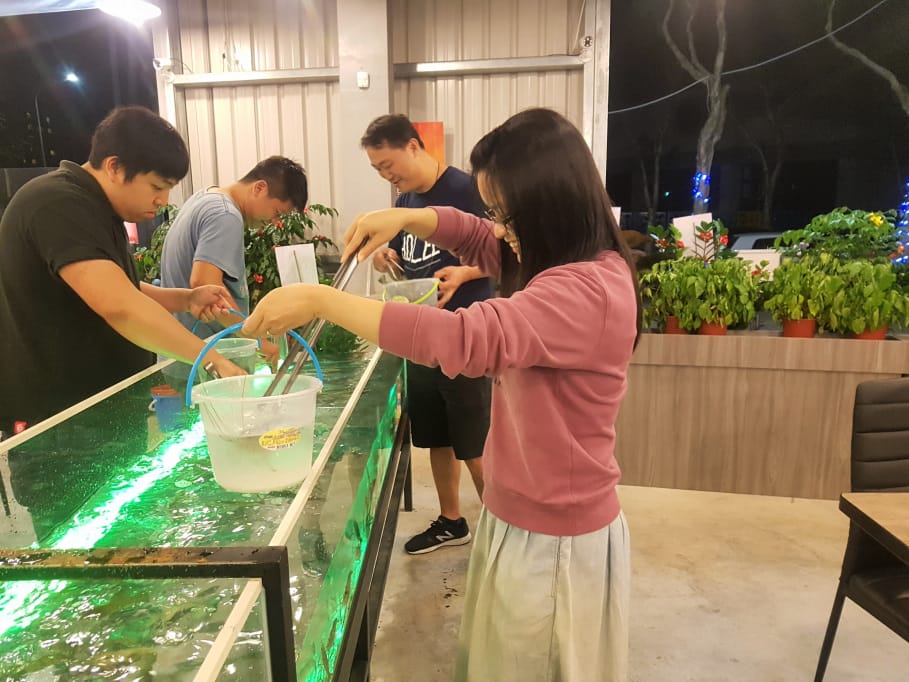 新北|泰蝦PA 水道泰國蝦吃到飽 林口現撈現烤流水蝦、烤肉吃到飽~ - 第8張圖 新北|泰蝦PA 水道泰國蝦吃到飽 林口現撈現烤流水蝦、烤肉吃到飽~