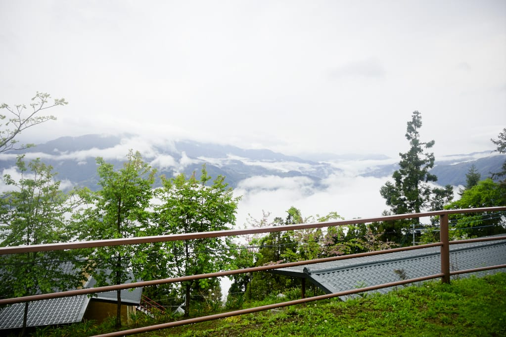 桃園｜露營採菇趣 桃子菇菇休閒農場 超大雨棚區營地推薦！