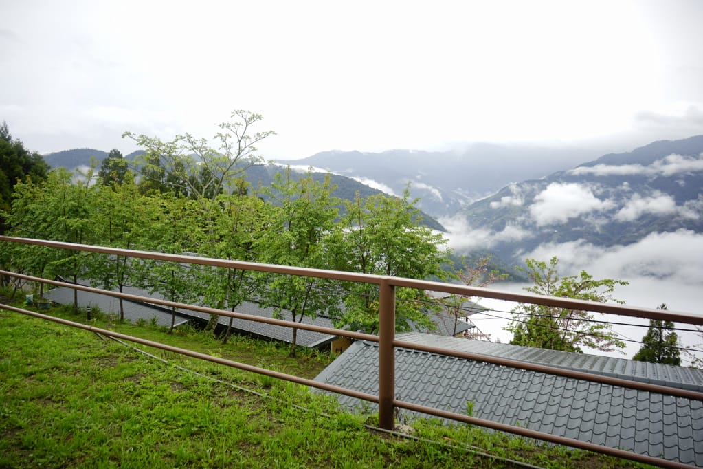 桃園｜露營採菇趣 桃子菇菇休閒農場 超大雨棚區營地推薦！