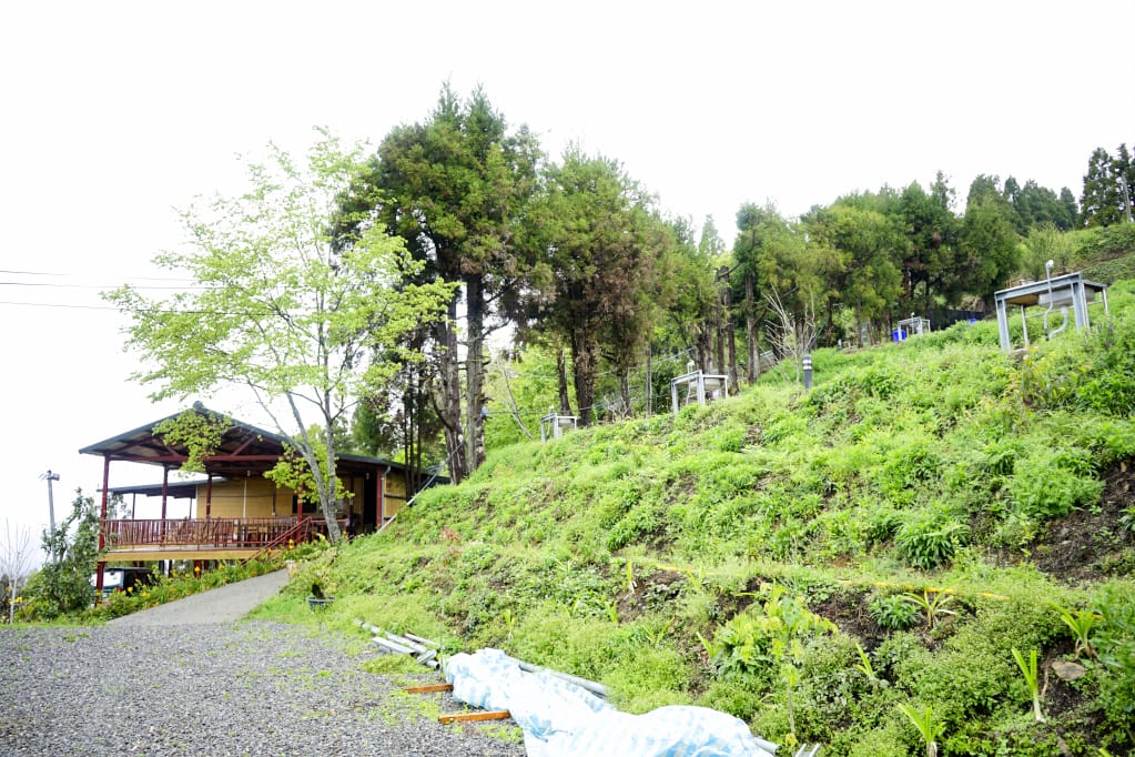 桃園｜露營採菇趣 桃子菇菇休閒農場 超大雨棚區營地推薦！