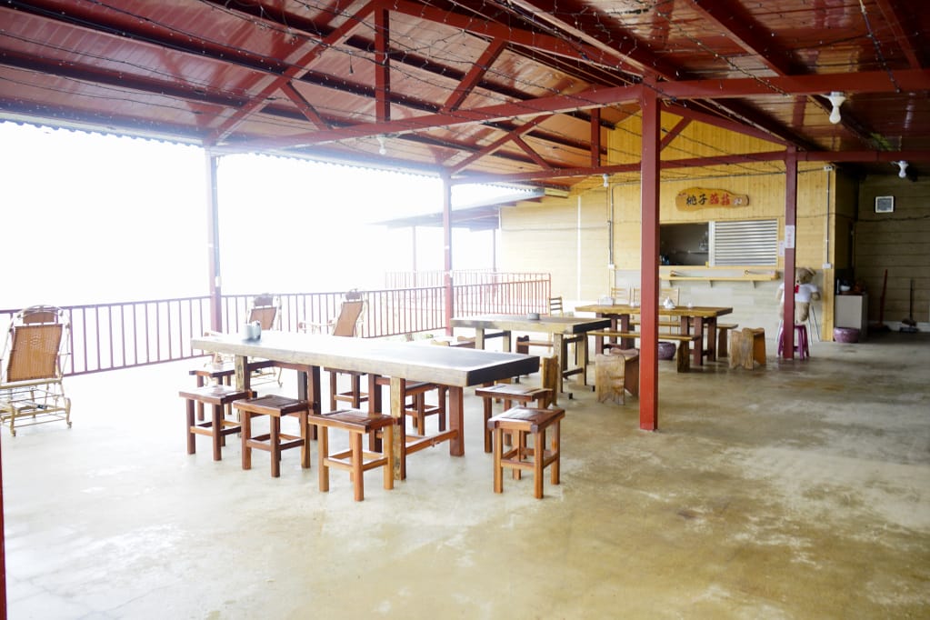 桃園｜露營採菇趣 桃子菇菇休閒農場 超大雨棚區營地推薦！