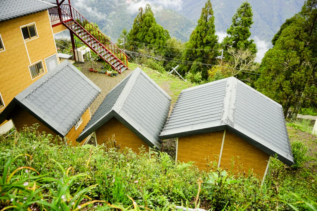 桃園｜露營採菇趣 桃子菇菇休閒農場 超大雨棚區營地推薦！