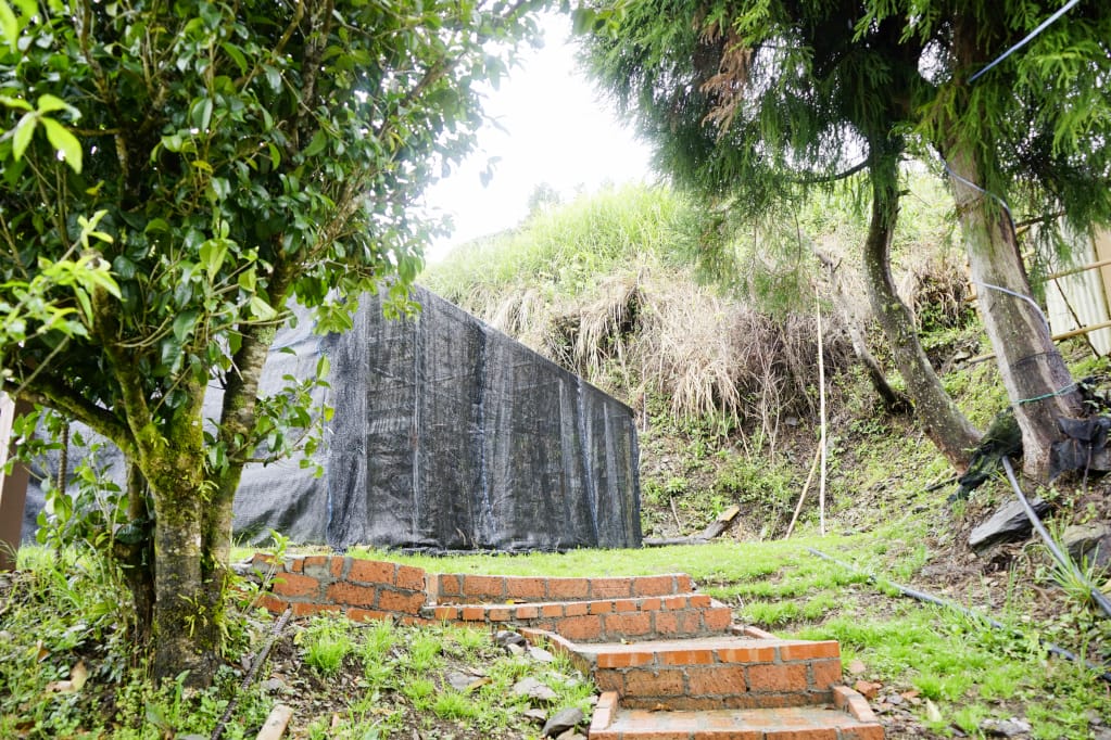 桃園｜露營採菇趣 桃子菇菇休閒農場 超大雨棚區營地推薦！