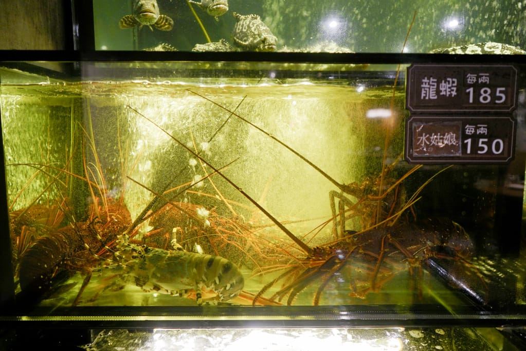 台北|蒸龍宴蒸汽養身海鮮館(敦化店) 活體水產x蒸食 活體海鮮現點現撈現蒸煮,享受食材原味鮮甜~ - 第15張圖 台北|蒸龍宴蒸汽養身海鮮館(敦化店) 活體水產x蒸食 活體海鮮現點現撈現蒸煮,享受食材原味鮮甜~