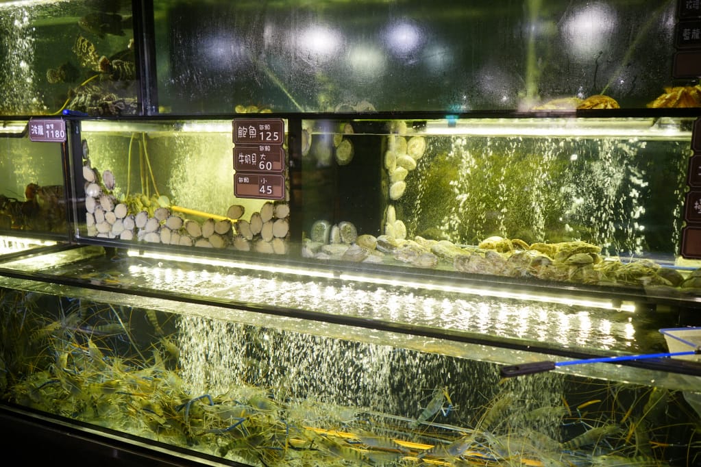台北|蒸龍宴蒸汽養身海鮮館(敦化店) 活體水產x蒸食 活體海鮮現點現撈現蒸煮,享受食材原味鮮甜~ - 第10張圖 台北|蒸龍宴蒸汽養身海鮮館(敦化店) 活體水產x蒸食 活體海鮮現點現撈現蒸煮,享受食材原味鮮甜~
