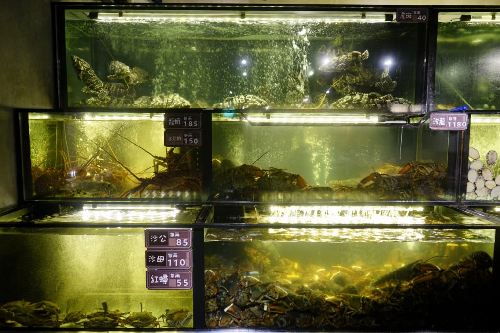 台北|蒸龍宴蒸汽養身海鮮館(敦化店) 活體水產x蒸食 活體海鮮現點現撈現蒸煮,享受食材原味鮮甜~ - 第13張圖 台北|蒸龍宴蒸汽養身海鮮館(敦化店) 活體水產x蒸食 活體海鮮現點現撈現蒸煮,享受食材原味鮮甜~