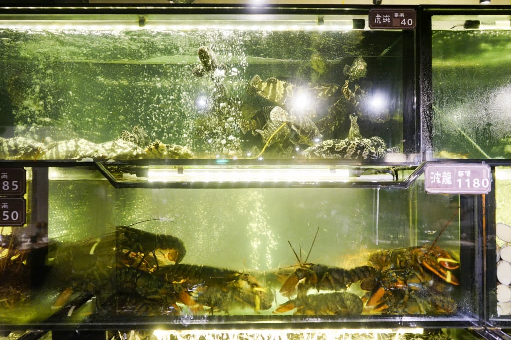 台北|蒸龍宴蒸汽養身海鮮館(敦化店) 活體水產x蒸食 活體海鮮現點現撈現蒸煮,享受食材原味鮮甜~ - 第14張圖 台北|蒸龍宴蒸汽養身海鮮館(敦化店) 活體水產x蒸食 活體海鮮現點現撈現蒸煮,享受食材原味鮮甜~