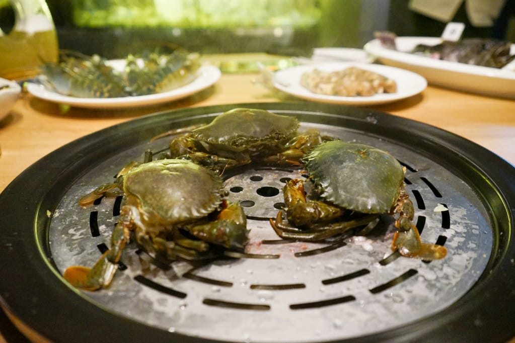 台北|蒸龍宴蒸汽養身海鮮館(敦化店) 活體水產x蒸食 活體海鮮現點現撈現蒸煮,享受食材原味鮮甜~ - 第39張圖 台北|蒸龍宴蒸汽養身海鮮館(敦化店) 活體水產x蒸食 活體海鮮現點現撈現蒸煮,享受食材原味鮮甜~