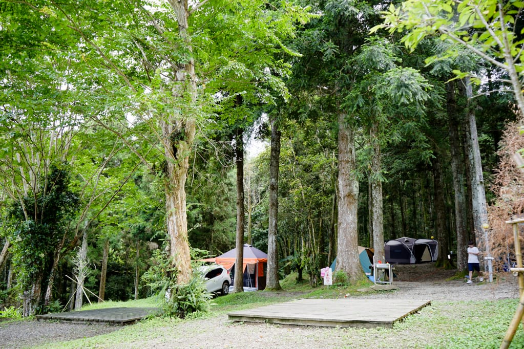 露營｜新竹五峰 起初休閒露營區 棧板草地、森林營位 1200m高海拔營區推薦！