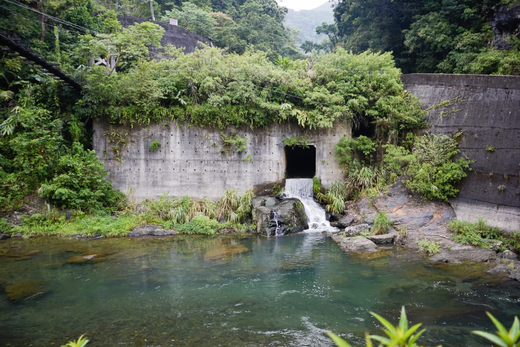 露營|新北坪林 綠野山林露營區 溪水露營地,玩水超方便! - 第18張圖 露營|新北坪林 綠野山林露營區 溪水露營地,玩水超方便!