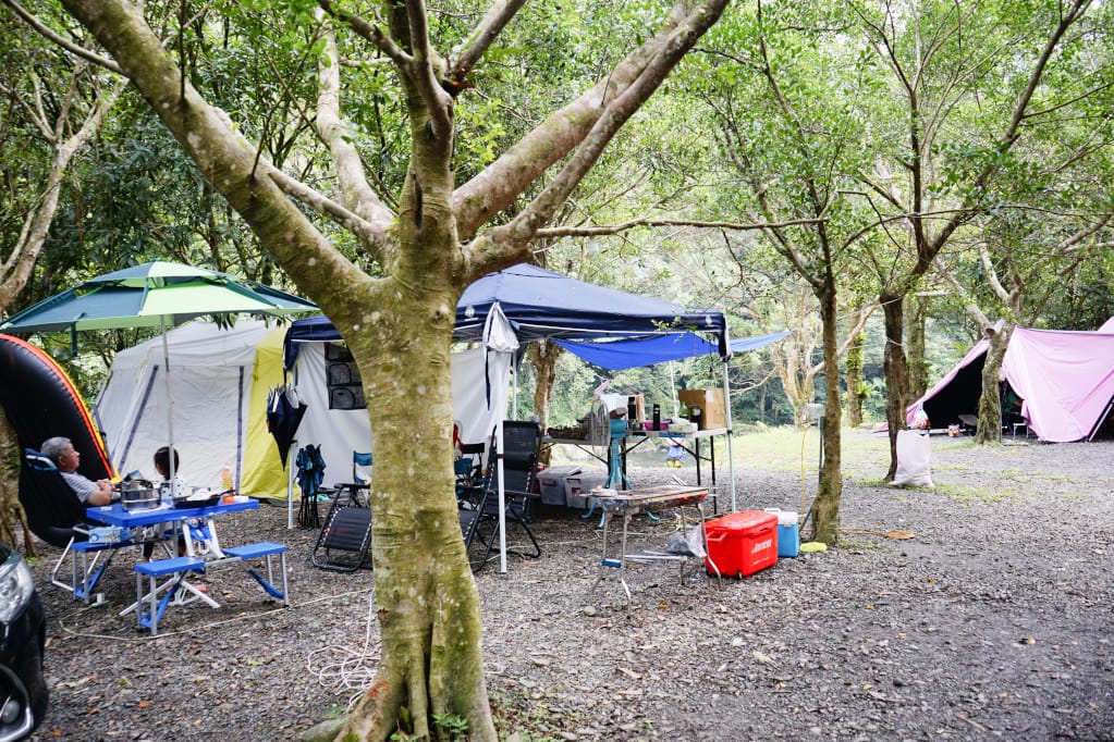 露營|新北坪林 綠野山林露營區 溪水露營地,玩水超方便! - 第3張圖 露營|新北坪林 綠野山林露營區 溪水露營地,玩水超方便!