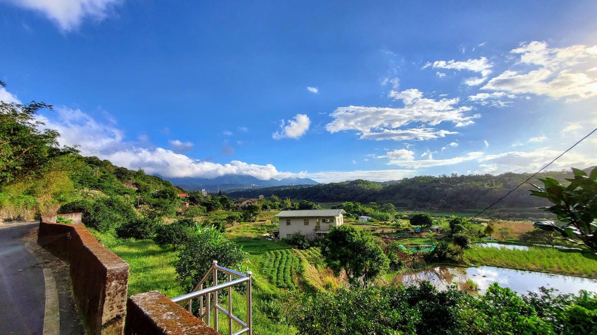 旅遊｜三芝區農會 新北三芝黃金甘藷體驗小旅行 拔地瓜、DIY手作體驗搓甘藷圓