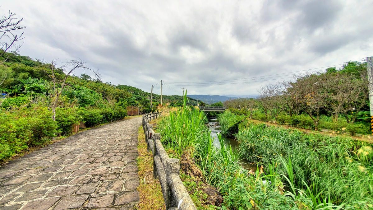 旅遊｜三芝區農會 新北三芝黃金甘藷體驗小旅行 拔地瓜、DIY手作體驗搓甘藷圓