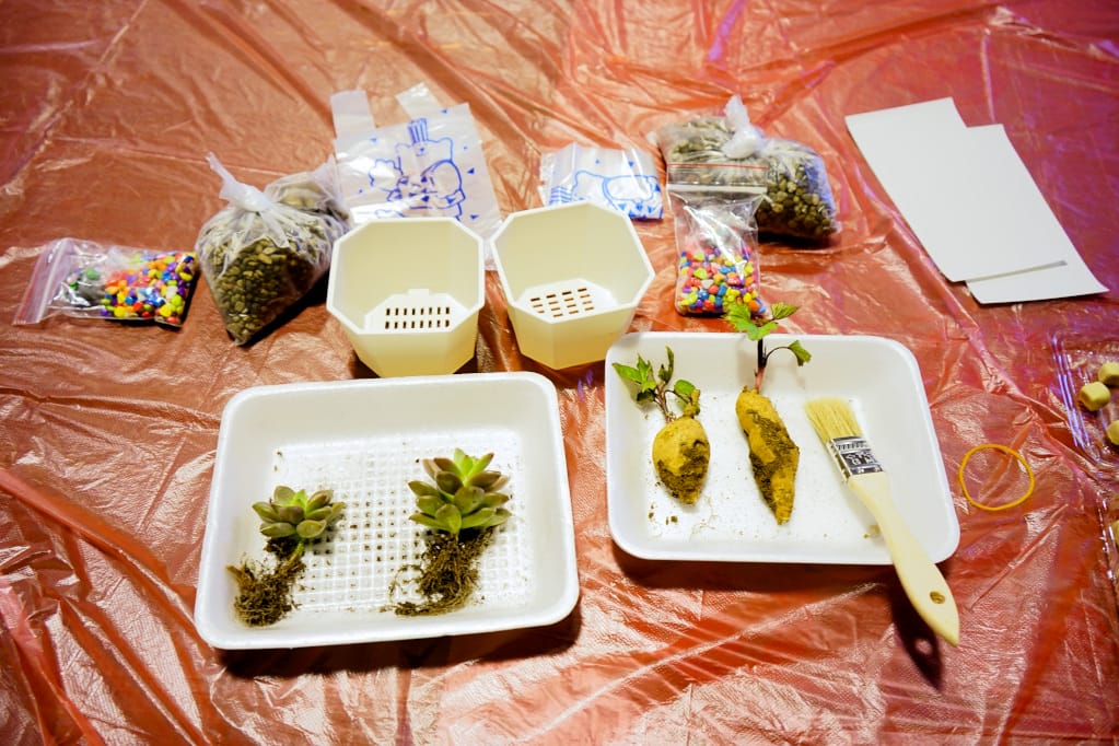 旅遊｜三芝區農會 新北三芝黃金甘藷體驗小旅行 拔地瓜、DIY手作體驗搓甘藷圓