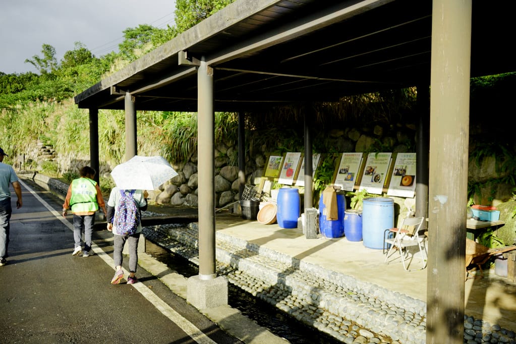 旅遊｜三芝區農會 新北三芝黃金甘藷體驗小旅行 拔地瓜、DIY手作體驗搓甘藷圓