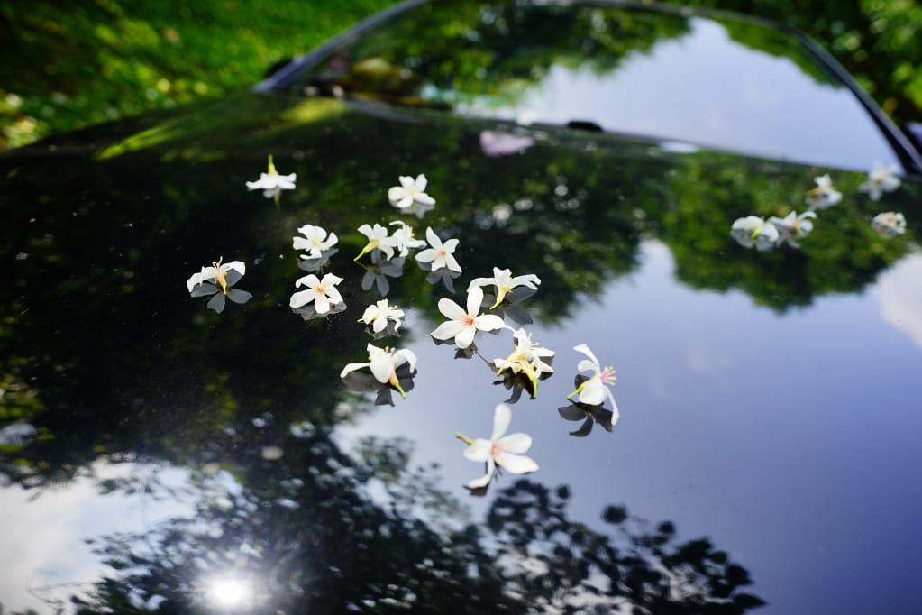 露營｜新竹尖石 如果露營區 兩帳包區雨棚 螢火蟲+油桐花 乾淨衛浴、景色佳露營地推薦！
