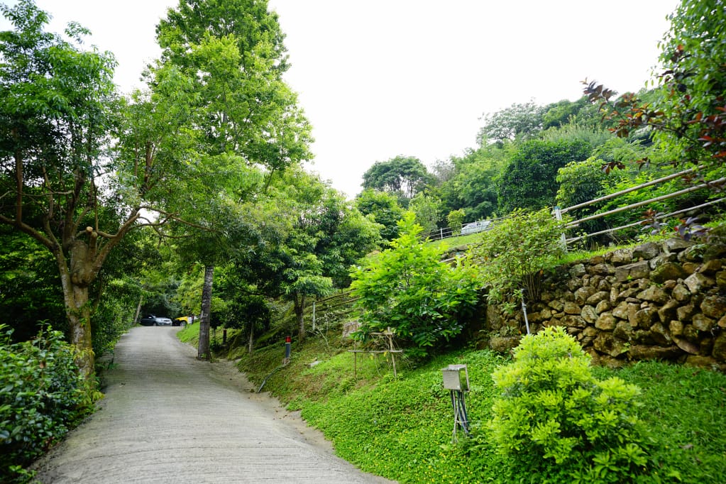 露營｜新竹尖石 如果露營區 兩帳包區雨棚 螢火蟲+油桐花 乾淨衛浴、景色佳露營地推薦！