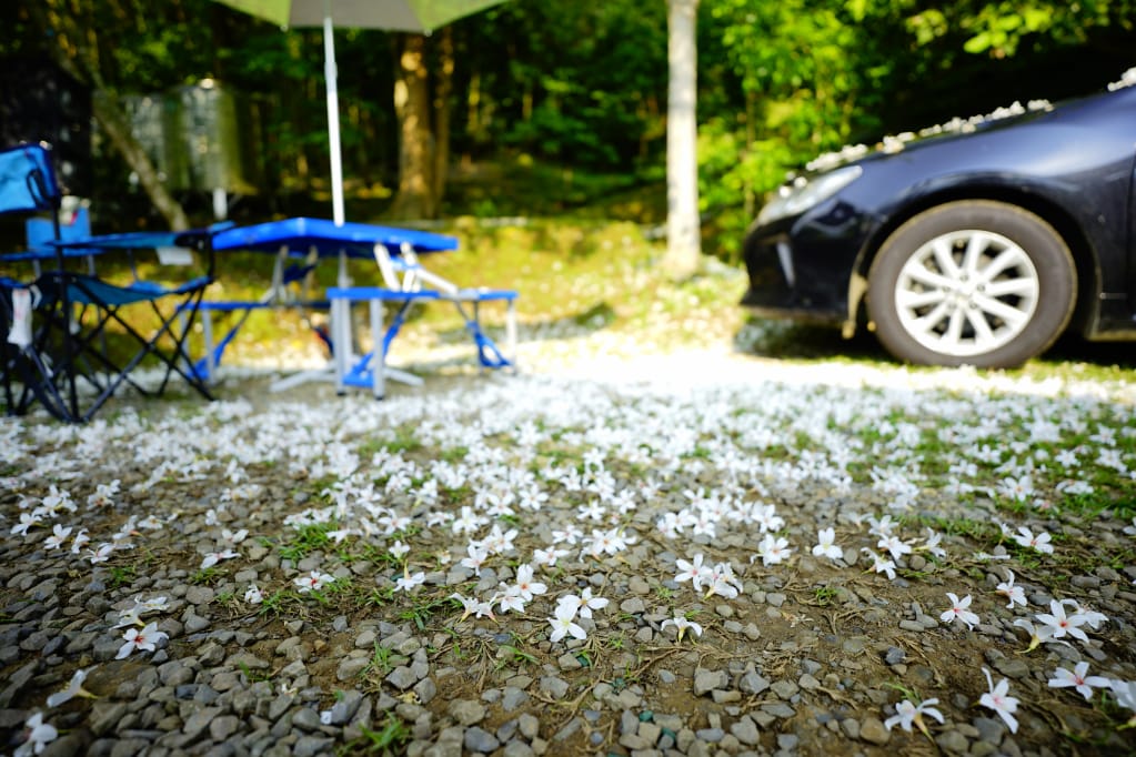 露營｜新竹尖石 如果露營區 兩帳包區雨棚 螢火蟲+油桐花 乾淨衛浴、景色佳露營地推薦！