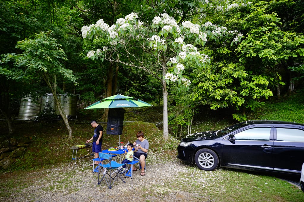 料理|翠活安全蔬果 無毒生菜沙拉推薦! 宅配生菜開盒即食超方便,野餐露營好朋友 - 第10張圖 料理|翠活安全蔬果 無毒生菜沙拉推薦! 宅配生菜開盒即食超方便,野餐露營好朋友