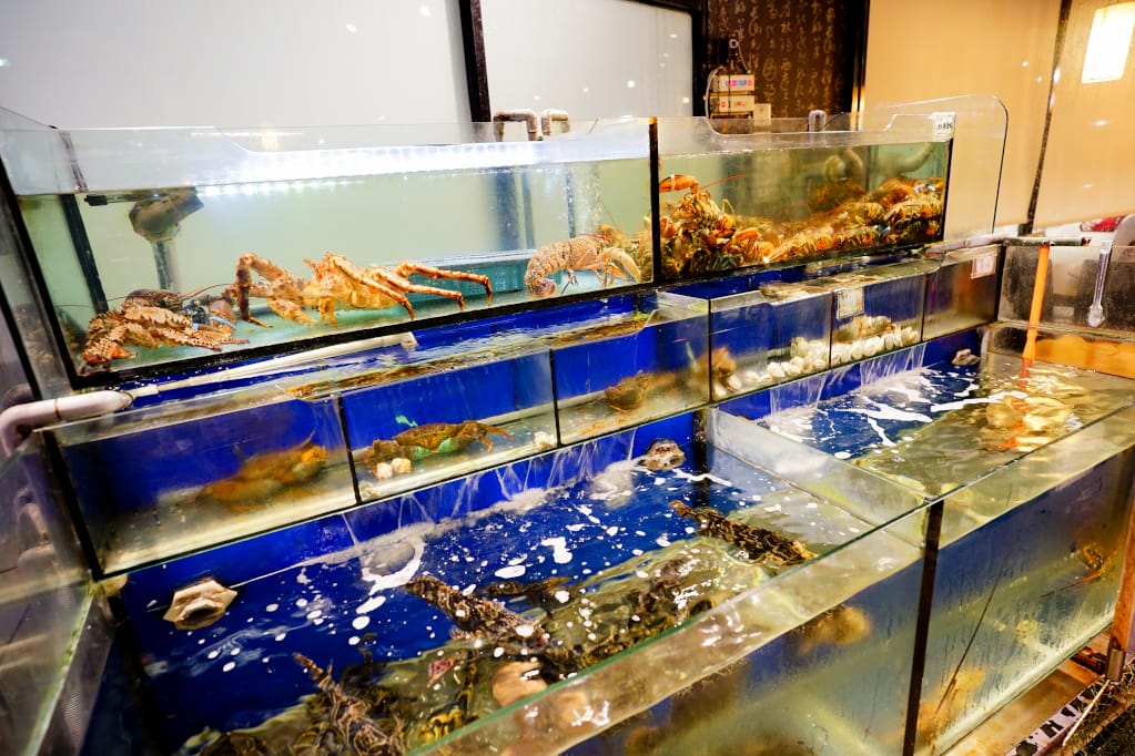 美食|新北林口 蒸翻天海鮮蒸氣火鍋餐廳 林口美食推薦!澎湃海鮮痛風鍋每吃上癮~ - 第5張圖 美食|新北林口 蒸翻天海鮮蒸氣火鍋餐廳 林口美食推薦!澎湃海鮮痛風鍋每吃上癮~