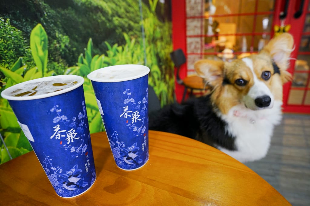 飲料｜桃園龜山 茶聚(桃園南崁店) 不能錯過的摘星奶茶 好茶喝無糖！有可愛店狗坐鎮的好茶飲品~