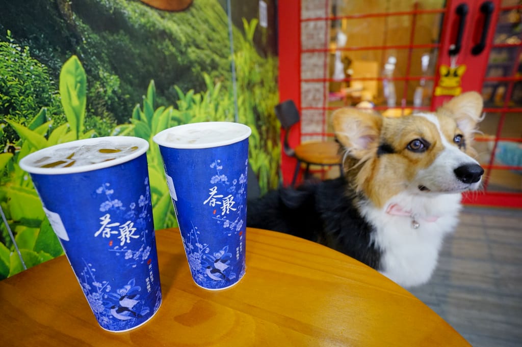 飲料｜桃園龜山 茶聚(桃園南崁店) 不能錯過的摘星奶茶 好茶喝無糖！有可愛店狗坐鎮的好茶飲品~