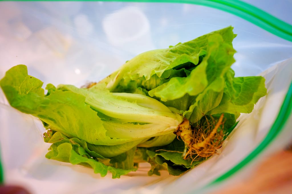 料理|廚房好幫手 Usii優系鎖鮮袋-蔬果專用袋+食物專用袋 冰箱異味out、食材保鮮就是這麼簡單! - 第6張圖 料理|廚房好幫手 Usii優系鎖鮮袋-蔬果專用袋+食物專用袋 冰箱異味out、食材保鮮就是這麼簡單!