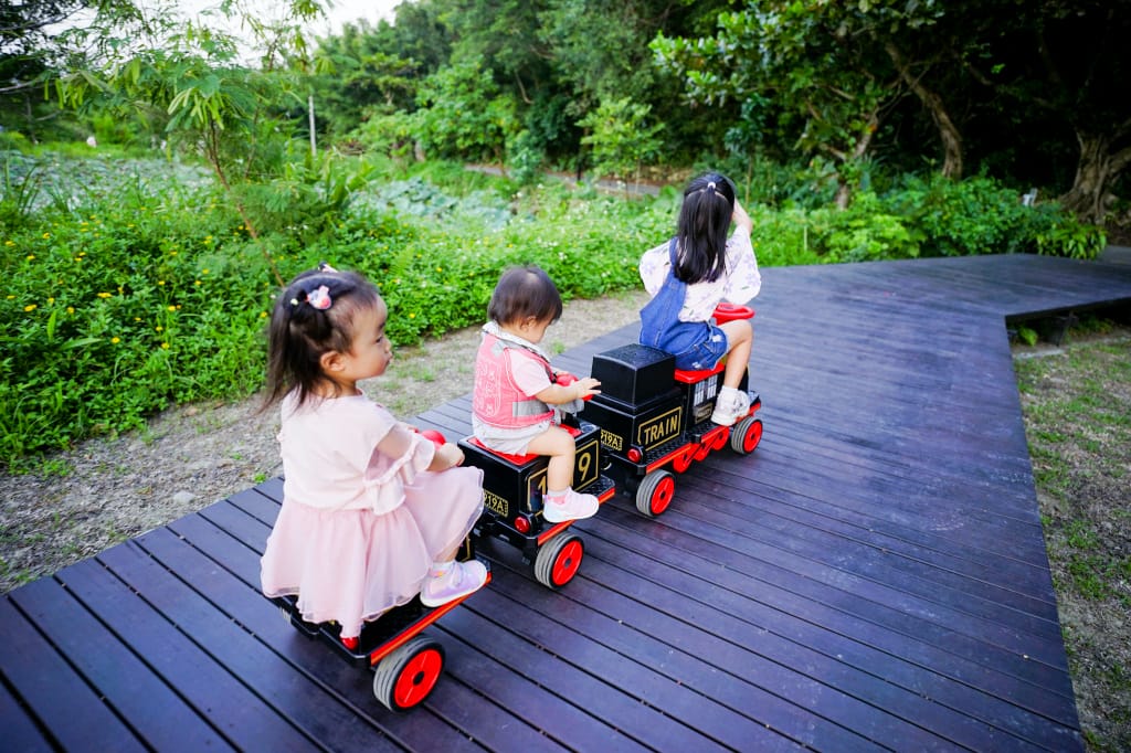育兒分享|小朋友最愛的電動小火車 兒童電動車-親子復古火車 傳說中的育兒神器 (遛孫神器) - 第26張圖 育兒分享|小朋友最愛的電動小火車 兒童電動車-親子復古火車 傳說中的育兒神器 (遛孫神器)