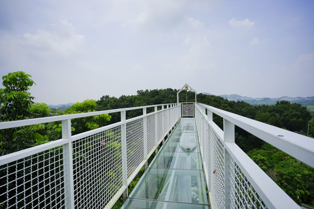 食記｜台南玉井 魔法森林景觀咖啡小餐館 森林環繞、玻璃天空步道 台南景觀餐廳推薦！