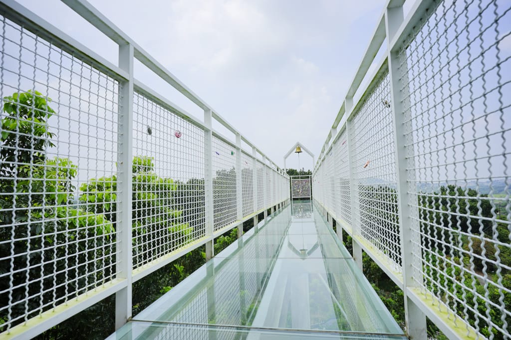 食記｜台南玉井 魔法森林景觀咖啡小餐館 森林環繞、玻璃天空步道 台南景觀餐廳推薦！