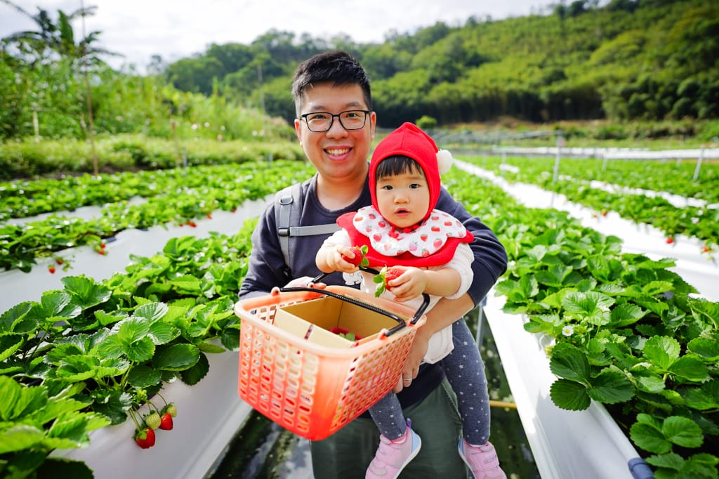 苗栗景點|大湖採草莓推薦!紅色琉璃瓦草莓園(高架草莓) 全新網美咖啡廳SUHU Café 現打草莓牛奶、自製草莓冰淇淋,打卡還送草莓果醬~ - 第1張圖 苗栗景點|大湖採草莓推薦!紅色琉璃瓦草莓園(高架草莓) 全新網美咖啡廳SUHU Café 現打草莓牛奶、自製草莓冰淇淋,打卡還送草莓果醬~