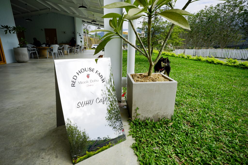 苗栗景點|大湖採草莓推薦!紅色琉璃瓦草莓園(高架草莓) 全新網美咖啡廳SUHU Café 現打草莓牛奶、自製草莓冰淇淋,打卡還送草莓果醬~ - 第26張圖 苗栗景點|大湖採草莓推薦!紅色琉璃瓦草莓園(高架草莓) 全新網美咖啡廳SUHU Café 現打草莓牛奶、自製草莓冰淇淋,打卡還送草莓果醬~