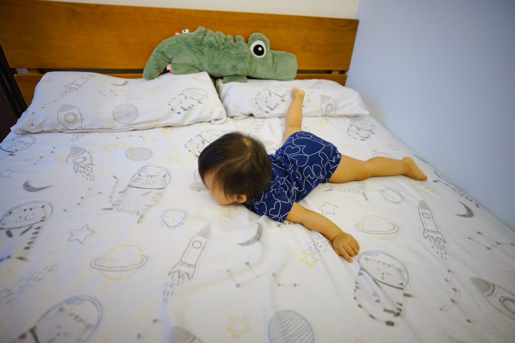 寢具|lasol睡眠屋 喵遊宇宙 抗菌透氣防螨涼感天絲 床包、兩用被套推薦! - 第6張圖 寢具|lasol睡眠屋 喵遊宇宙 抗菌透氣防螨涼感天絲 床包、兩用被套推薦!