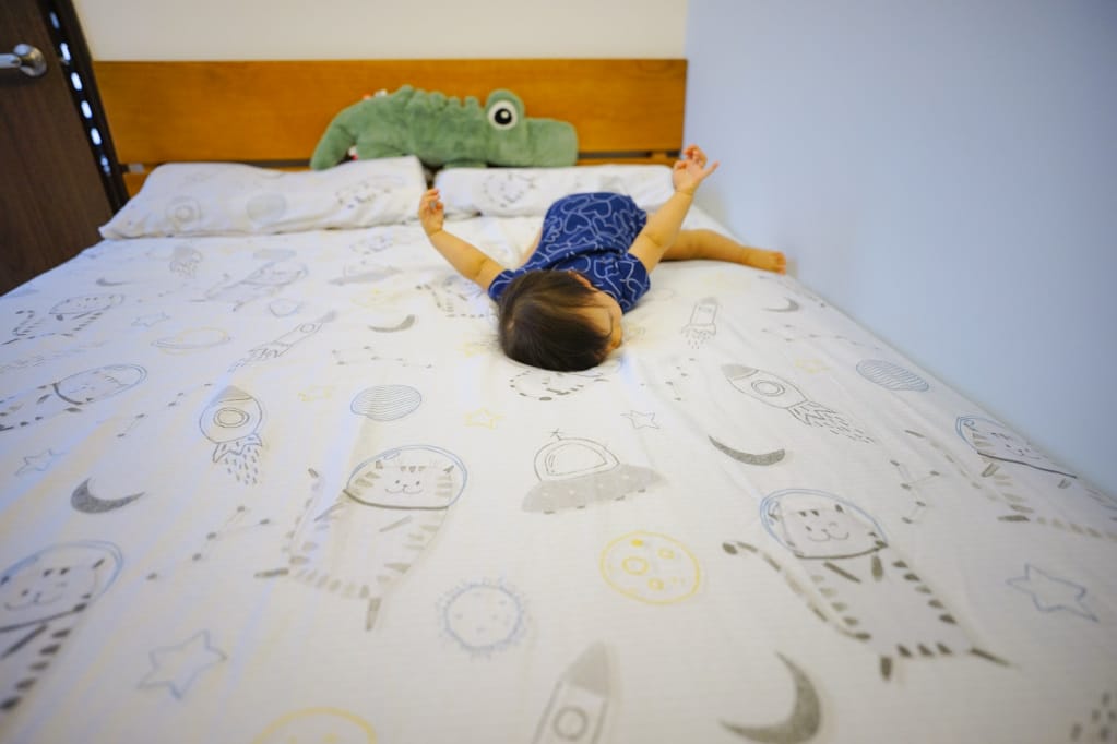 寢具|lasol睡眠屋 喵遊宇宙 抗菌透氣防螨涼感天絲 床包、兩用被套推薦! - 第7張圖 寢具|lasol睡眠屋 喵遊宇宙 抗菌透氣防螨涼感天絲 床包、兩用被套推薦!