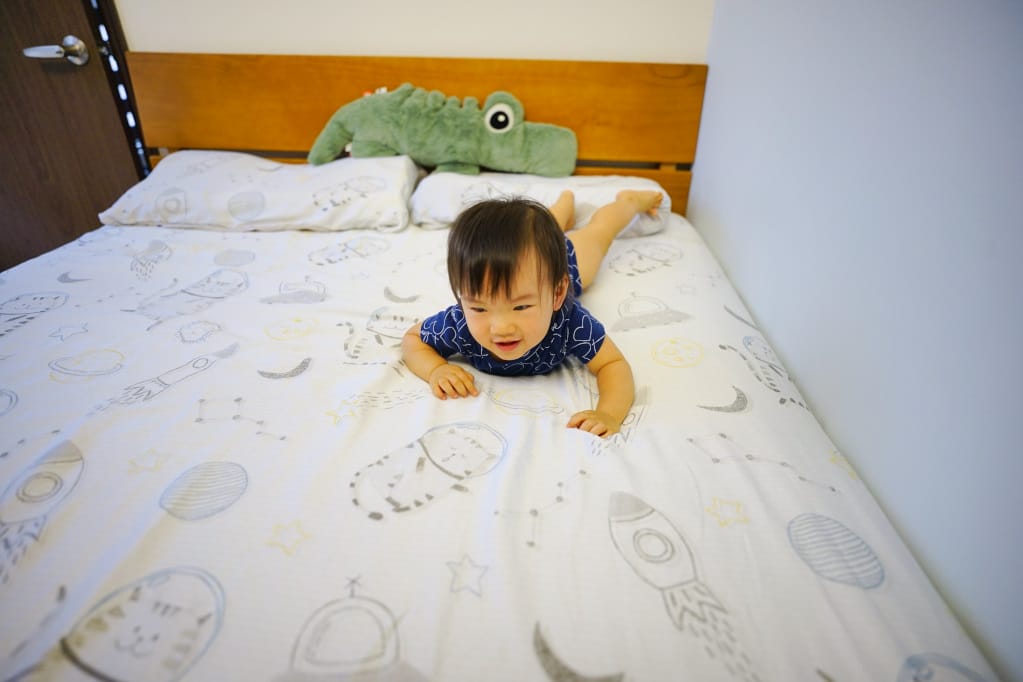 寢具|lasol睡眠屋 喵遊宇宙 抗菌透氣防螨涼感天絲 床包、兩用被套推薦! - 第8張圖 寢具|lasol睡眠屋 喵遊宇宙 抗菌透氣防螨涼感天絲 床包、兩用被套推薦!