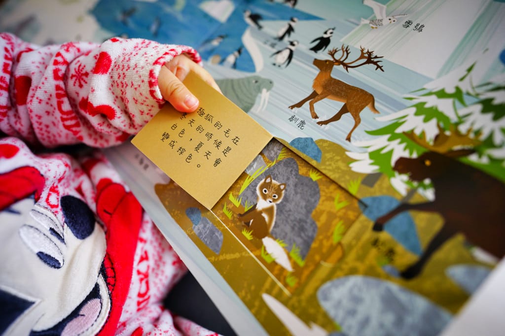 育兒分享|給孩子的第一套翻翻有聲書推薦!閣林文創聖誕禮物團 年度最優惠的童書繪本團購~孩子最愛的有聲書、立體書、益智桌遊書通通有 - 第10張圖 育兒分享|給孩子的第一套翻翻有聲書推薦!閣林文創聖誕禮物團 年度最優惠的童書繪本團購~孩子最愛的有聲書、立體書、益智桌遊書通通有