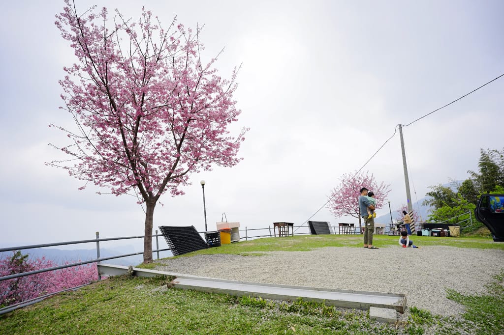 苗栗露營|泰安 司馬限山嵐露營區 櫻花盛開美景下露營 雲海瀑布、少帳包區營地推薦! - 第8張圖 苗栗露營|泰安 司馬限山嵐露營區 櫻花盛開美景下露營 雲海瀑布、少帳包區營地推薦!