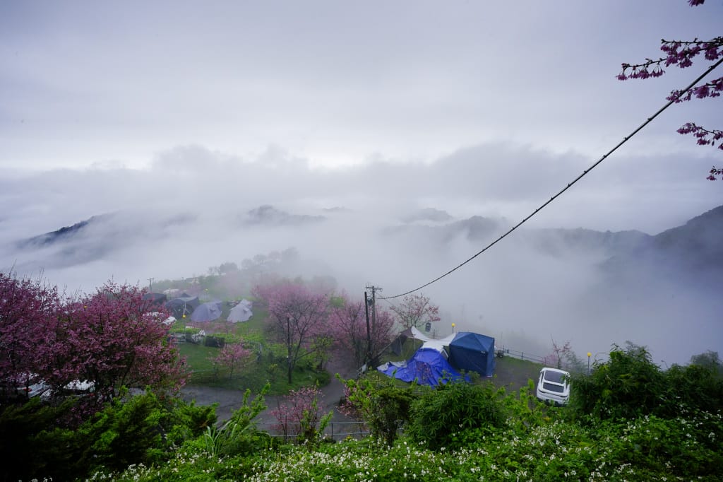 苗栗露營|泰安 司馬限山嵐露營區 櫻花盛開美景下露營 雲海瀑布、少帳包區營地推薦! - 第2張圖 苗栗露營|泰安 司馬限山嵐露營區 櫻花盛開美景下露營 雲海瀑布、少帳包區營地推薦!