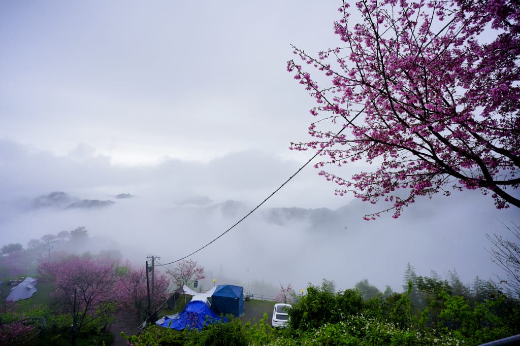 苗栗露營|泰安 司馬限山嵐露營區 櫻花盛開美景下露營 雲海瀑布、少帳包區營地推薦! - 第22張圖 苗栗露營|泰安 司馬限山嵐露營區 櫻花盛開美景下露營 雲海瀑布、少帳包區營地推薦!