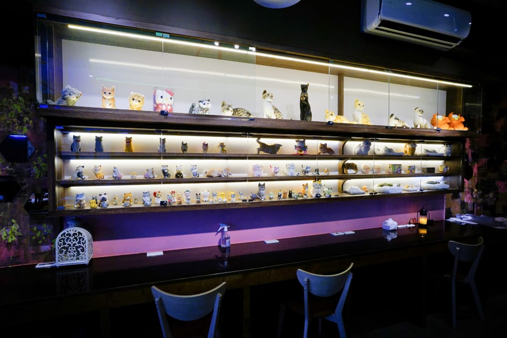 台北食記|星盒貓語StarBox Cafe & Bar 喵星人友善餐廳 無菜單無國界料理推薦!團體包場、場地租借推薦~ - 第5張圖 台北食記|星盒貓語StarBox Cafe & Bar 喵星人友善餐廳 無菜單無國界料理推薦!團體包場、場地租借推薦~
