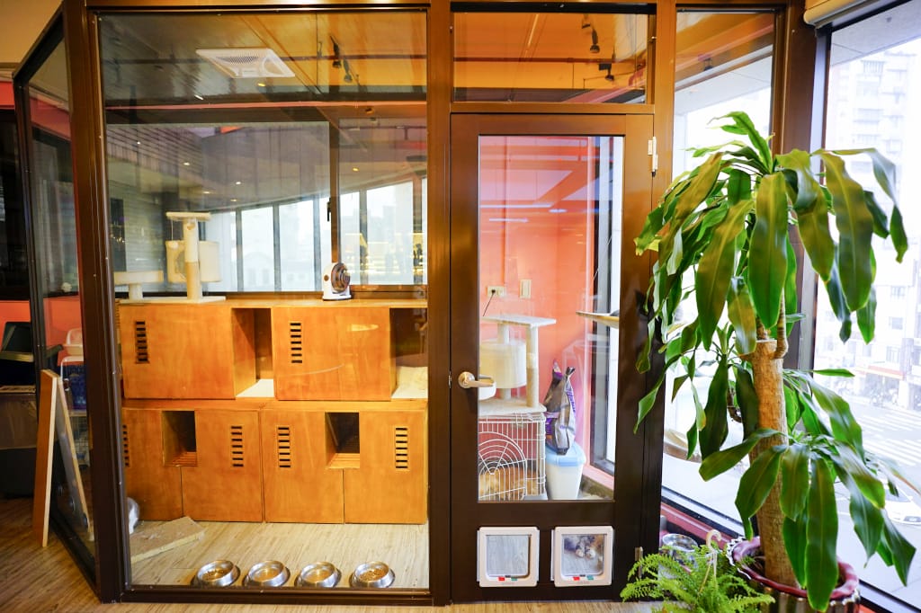 台北食記|星盒貓語StarBox Cafe & Bar 喵星人友善餐廳 無菜單無國界料理推薦!團體包場、場地租借推薦~ - 第6張圖 台北食記|星盒貓語StarBox Cafe & Bar 喵星人友善餐廳 無菜單無國界料理推薦!團體包場、場地租借推薦~