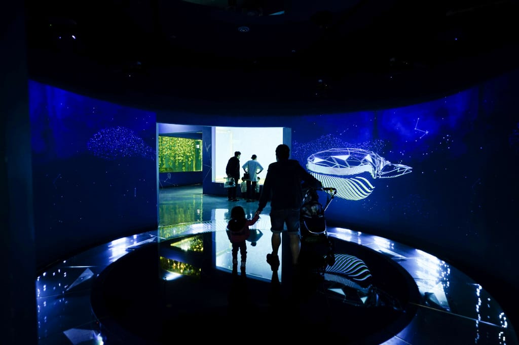 桃園旅遊｜桃園親子景點 Xpark水族館 都會型水生公園（kkday購票）桃園雨天室內景點推薦！還可以近距離跟企鵝一起用餐~